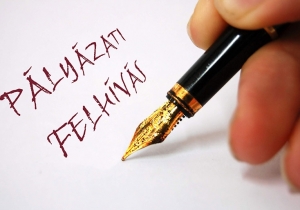 P&aacute;ly&aacute;zati ki&iacute;r&aacute;s a Tam&aacute;si Kultur&aacute;lis K&ouml;zpont int&eacute;zm&eacute;nyvezetői munkak&ouml;r&eacute;re