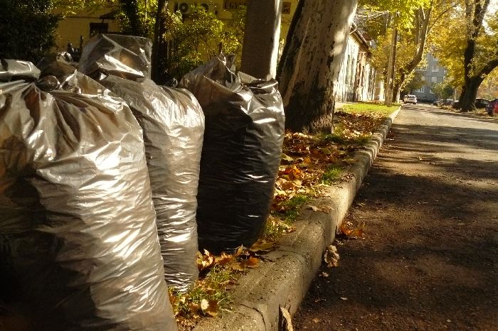 Őszi lomtalanítás és zöldhulladék elszállítás 2016