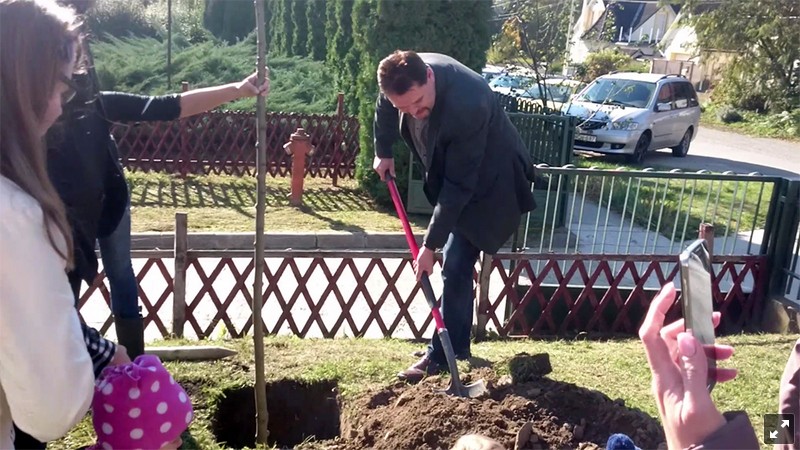 Kilencedik alkalommal ültettek fákat az előző évben született gyermekek tiszteletére