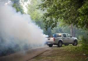 T&aacute;j&eacute;koztat&oacute; f&ouml;ldi sz&uacute;nyoggy&eacute;r&iacute;t&eacute;sről