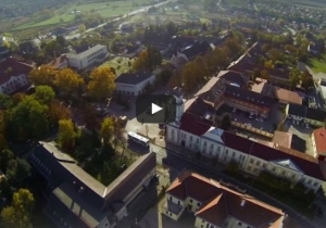 &Eacute;lvezd Tam&aacute;sit - Tam&aacute;si image film