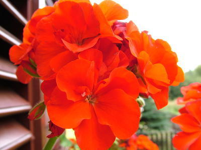 Zöldkert vendégház