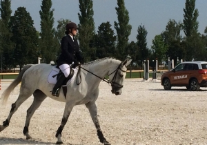 2017. &eacute;vi tam&aacute;si lovasversenyek