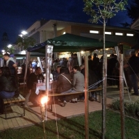 Tolnai Borok &Eacute;jszak&aacute;ja Tam&aacute;siban!