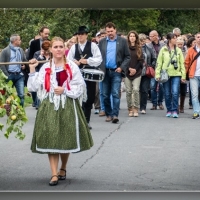 Fot&oacute;: Wolf D&aacute;vid