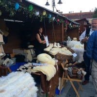 Tolnai Borok &Eacute;jszak&aacute;ja Tam&aacute;siban!