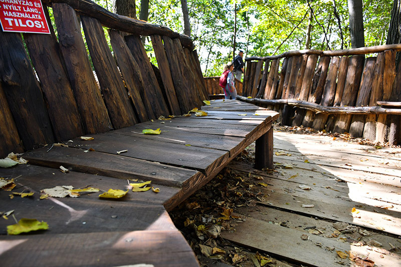 Egy éve nyerte el új, organikus külsejét a fenyvesi Kilátó