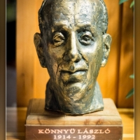 Fot&oacute;: Wolf D&aacute;vid