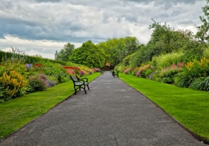 K&eacute;rdő&iacute;ves felm&eacute;r&eacute;s Tam&aacute;si lakoss&aacute;g&aacute;nak k&ouml;r&eacute;ben a v&aacute;ros z&ouml;ldter&uuml;leteiről, k&ouml;zparkjair&oacute;l