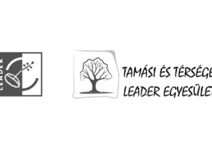 LEADER Felh&iacute;v&aacute;sok &uacute;j bead&aacute;si hat&aacute;rideje 2020.06.30. nap!