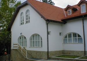 Fortiana sz&aacute;ll&oacute;