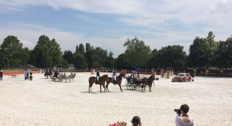 57. Tamási Lovas Napok egy nemzetközi szintű pályán