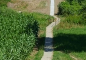 Meg&uacute;jult a R&aacute;cv&ouml;lgyi j&aacute;rda