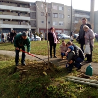 Fa&uuml;ltet&eacute;s a a Sz&eacute;chenyi Istv&aacute;n utca elej&eacute;n