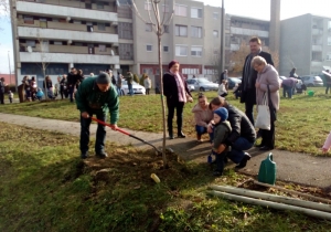 Fa&uuml;ltet&eacute;s a Sz&eacute;chenyi Istv&aacute;n utca elej&eacute;n