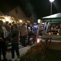 Tolnai Borok &Eacute;jszak&aacute;ja Tam&aacute;siban!