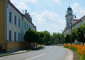 Tam&aacute;si v&aacute;ros k&eacute;pekben