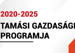 Tam&aacute;si V&aacute;ros &Ouml;nkorm&aacute;nyzazat&aacute;nak 2020-2025. &eacute;vekre vonatkoz&oacute; gazdas&aacute;gi programja