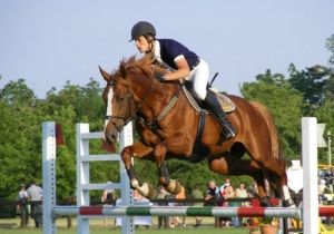 Region&aacute;lis d&iacute;jugrat&oacute; verseny Tam&aacute;si 2017