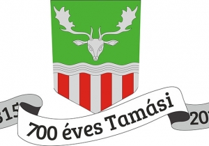 Ter&uuml;leti egy&uuml;ttműk&ouml;d&eacute;st seg&iacute;tő programok kialak&iacute;t&aacute;sa a Tam&aacute;si j&aacute;r&aacute;sban