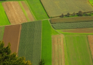 &bdquo;F&ouml;ldet a gazd&aacute;knak&rdquo; program - Az &aacute;llami tulajdon&uacute; f&ouml;ldek &aacute;rverez&eacute;se Tolna megy&eacute;ben