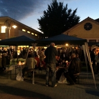 Tolnai Borok &Eacute;jszak&aacute;ja Tam&aacute;siban!