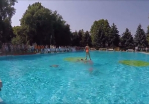 Aquaplaccs - Vide&oacute;