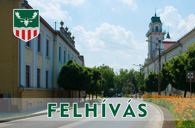 Felhívás elismerő címekre történő javaslattételre