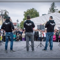 Fot&oacute;: Wolf D&aacute;vid