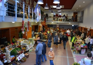 Term&eacute;kb&ouml;rze Tam&aacute;siban