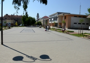 Tam&aacute;si: f&uuml;rdőv&aacute;ros a gyulaji erdő &ouml;lel&eacute;s&eacute;ben