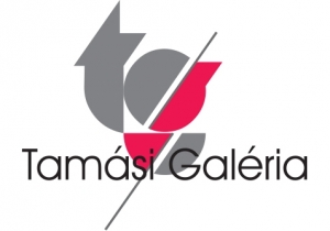 &bdquo;Tam&aacute;si objekt&iacute;ven kereszt&uuml;l 2016&rdquo; fot&oacute;p&aacute;ly&aacute;zat