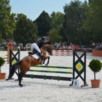 tamasi-aranyoldalak-01