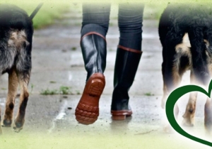 T&uacute;ra &eacute;s Kutyagol&aacute;s