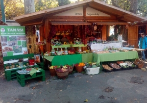 III. Orsz&aacute;gos K&ouml;zfoglalkoztat&aacute;si Ki&aacute;ll&iacute;t&aacute;s