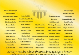 Fa&uuml;ltet&eacute;s a Liget j&aacute;tsz&oacute;t&eacute;r parkj&aacute;ban