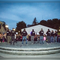 Fot&oacute;: Wolf D&aacute;vid