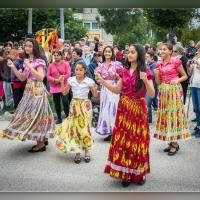 Fot&oacute;: Wolf D&aacute;vid