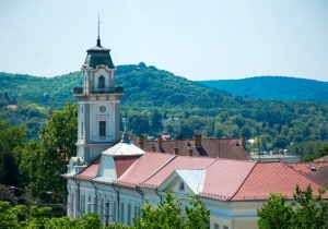 Tam&aacute;si v&aacute;ros k&eacute;pekben