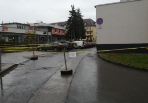 T&aacute;j&eacute;koztat&oacute; &uacute;tlez&aacute;r&aacute;sr&oacute;l