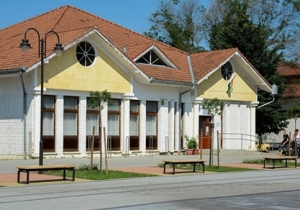 Ny&aacute;ri sz&uuml;net a k&ouml;nyvt&aacute;rban