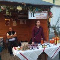 Tolnai Borok &Eacute;jszak&aacute;ja Tam&aacute;siban!