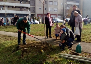Tizenegyedik alkalommal &uuml;ltettek f&aacute;kat az előző &eacute;vben sz&uuml;letett gyermekek tisztelet&eacute;re