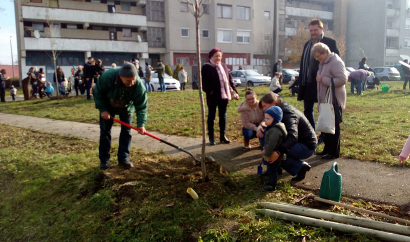Tizenegyedik alkalommal ültettek fákat az előző évben született gyermekek tiszteletére