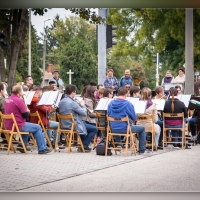 Fot&oacute;: Wolf D&aacute;vid