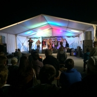 Tolnai Borok &Eacute;jszak&aacute;ja Tam&aacute;siban!