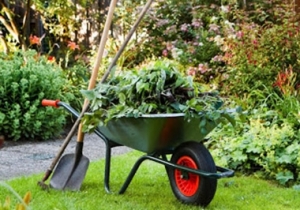 T&aacute;j&eacute;koztat&oacute; a k&ouml;zter&uuml;let gondoz&aacute;sr&oacute;l