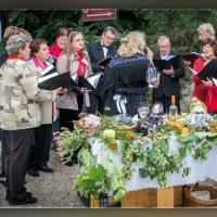 Fot&oacute;: Wolf D&aacute;vid