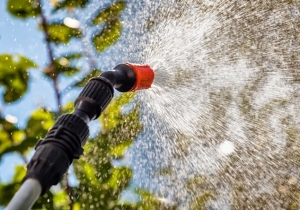 Lakoss&aacute;gi t&aacute;j&eacute;koztat&oacute; vadgesztenye &eacute;s plat&aacute;nf&aacute;k n&ouml;v&eacute;nyv&eacute;dő szerrel t&ouml;rt&eacute;nő kezel&eacute;s&eacute;ről