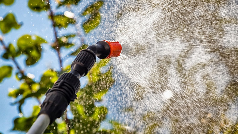 Lakossági tájékoztató vadgesztenye és platánfák növényvédő szerrel történő kezeléséről